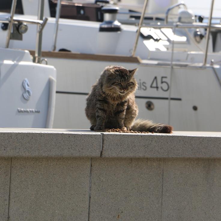 Marine adventure